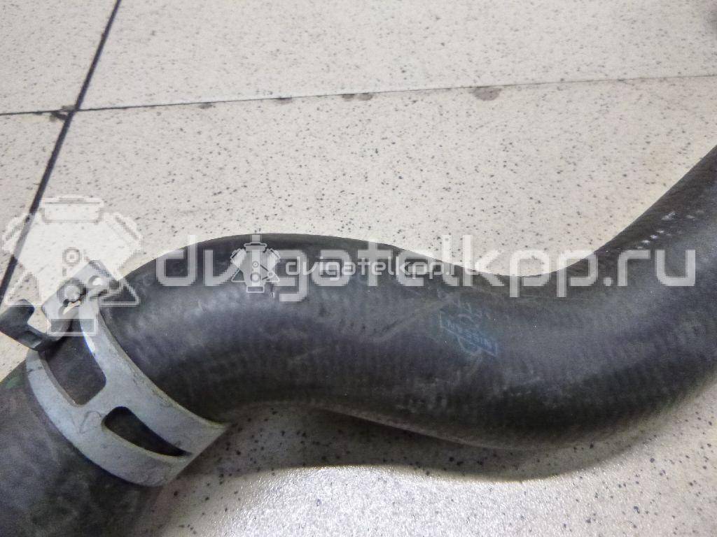 Фото Патрубок радиатора  21501ax800 для Nissan Note / Micra {forloop.counter}}