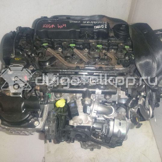 Фото Контрактный (б/у) двигатель T7MA для Ford Kuga 150 л.с 16V 2.0 л Дизельное топливо