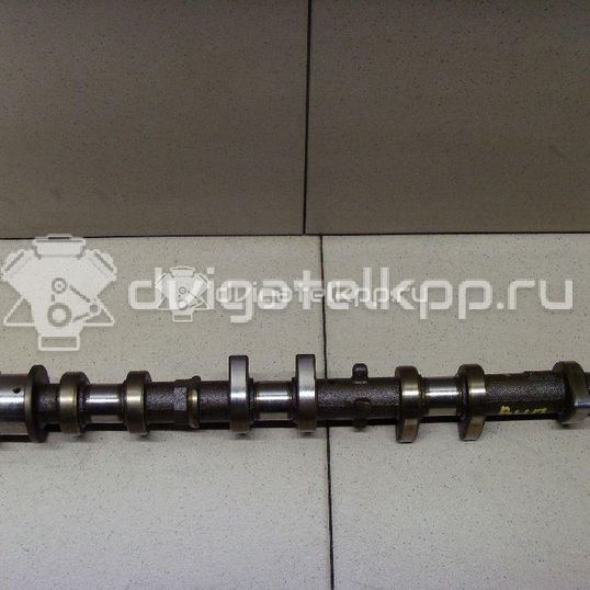 Фото Распредвал выпускной для двигателя 2AZ-FE для Toyota Camry / Alphard / Harrier / Matrix / Vanguard A3 152-173 л.с 16V 2.4 л бензин 1350228030