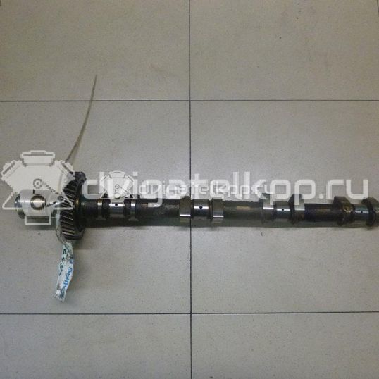 Фото Распредвал выпускной для двигателя 2UZ-FE для Toyota Land Cruiser / Tundra , / 4 / Sequoia 233-288 л.с 32V 4.7 л бензин