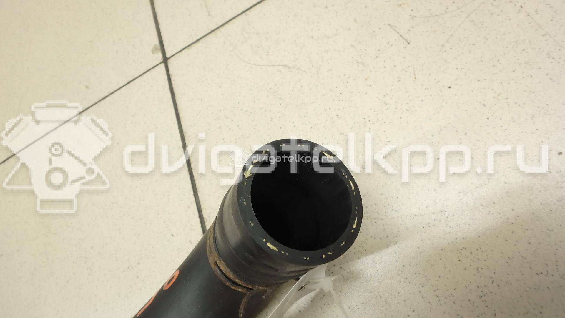 Фото Патрубок радиатора  21504JD20B для Nissan Qashqai {forloop.counter}}