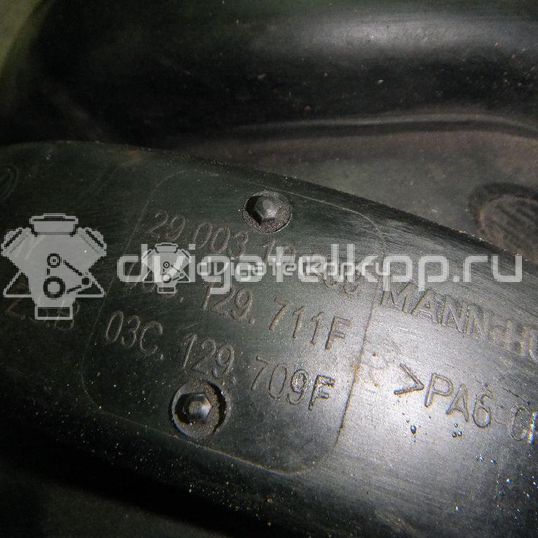 Фото Коллектор впускной для двигателя BLF для Audi A3 115 л.с 16V 1.6 л бензин 03C129711F