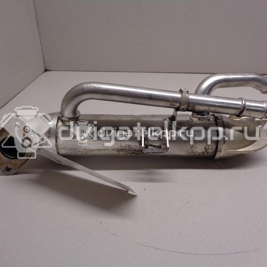 Фото Радиатор системы EGR для двигателя BPW для Audi A4 140 л.с 8V 2.0 л Дизельное топливо 038131513S