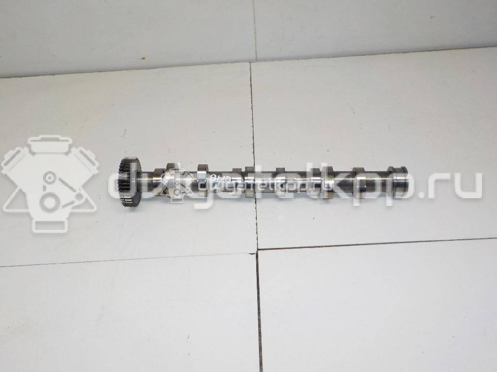 Фото Распредвал выпускной для двигателя BPP для Audi A4 / A6 180 л.с 24V 2.7 л Дизельное топливо 059109009BL {forloop.counter}}