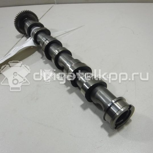 Фото Распредвал выпускной для двигателя BPP для Audi A4 / A6 180 л.с 24V 2.7 л Дизельное топливо 059109009BL