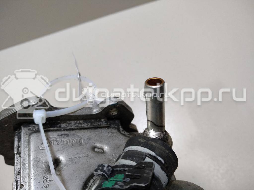 Фото Радиатор системы EGR для двигателя BMK для Audi A6 225 л.с 24V 3.0 л Дизельное топливо 059131511 {forloop.counter}}