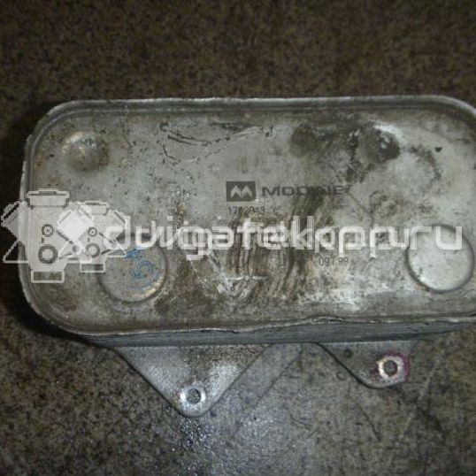 Фото Радиатор масляный для двигателя BFL для Audi A8 280 л.с 40V 3.7 л бензин 077117021Q