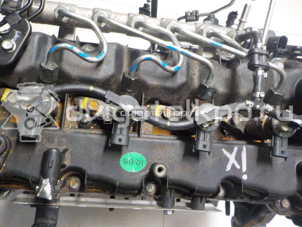 Фото Контрактный (б/у) двигатель D4FD для Hyundai Tucson / Ix35 Lm, El, Elh / I40 Vf 116-141 л.с 16V 1.7 л Дизельное топливо {forloop.counter}}