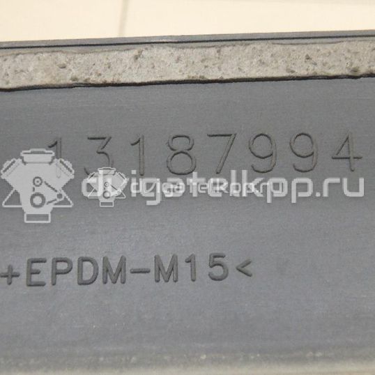 Фото Молдинг передней правой двери  13188299 для Opel Corsa