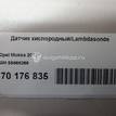 Фото Датчик кислородный/Lambdasonde  55568266 для Opel Astra / Rekord / Kadett / Corsa / Vectra {forloop.counter}}