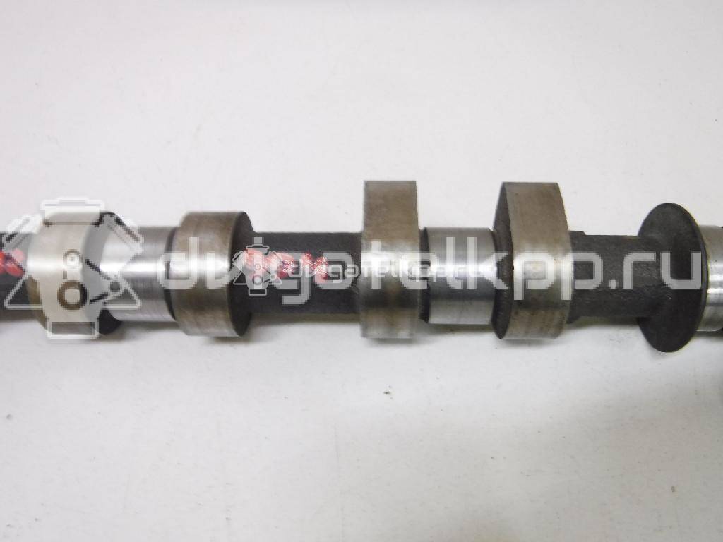 Фото Распредвал для двигателя F16D3 для Chevrolet Nubira / Lacetti 101-109 л.с 16V 1.6 л бензин 96182606 {forloop.counter}}
