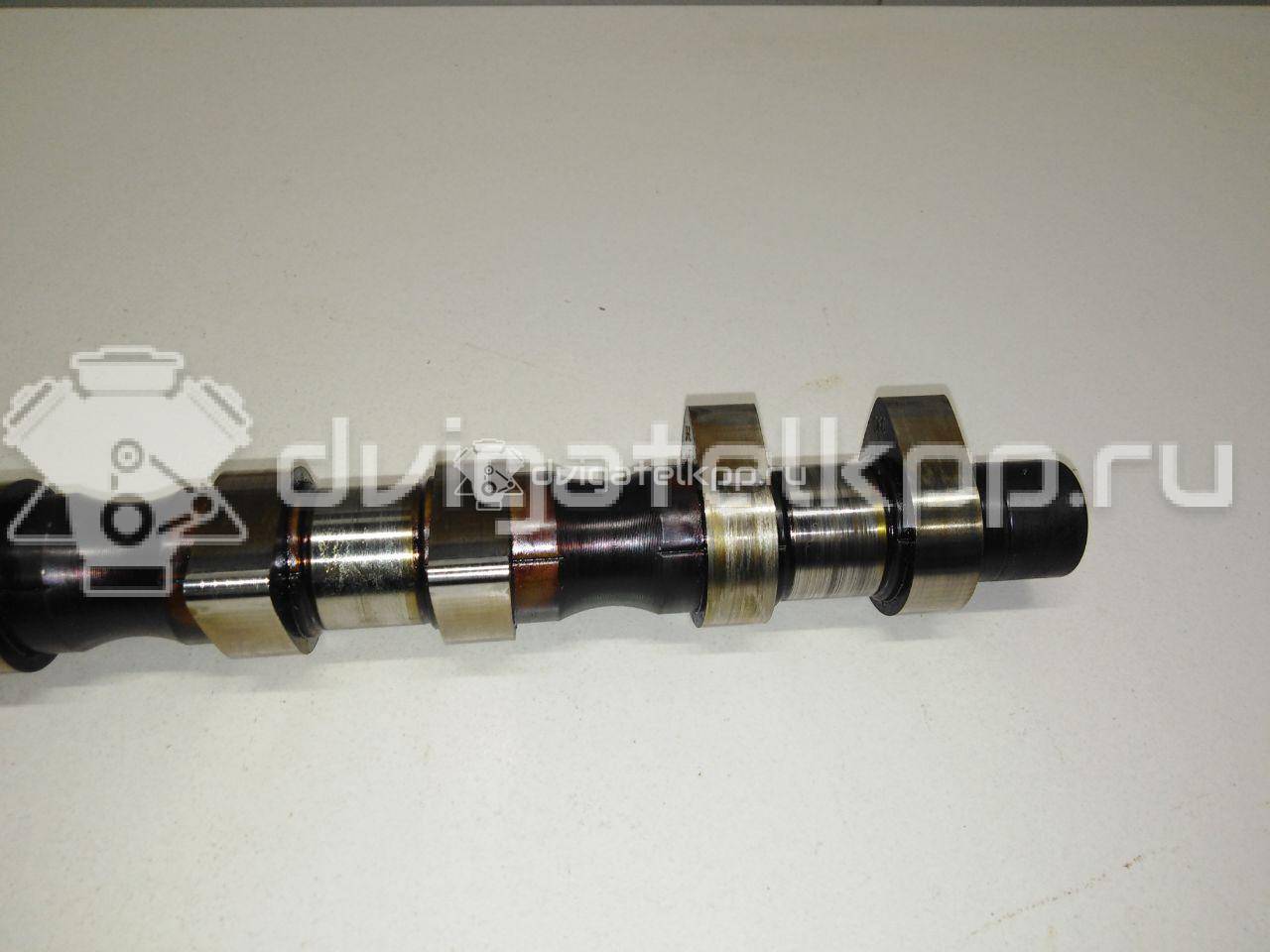 Фото Распредвал для двигателя F16D3 для Chevrolet Nubira / Lacetti 101-109 л.с 16V 1.6 л бензин 96182606 {forloop.counter}}