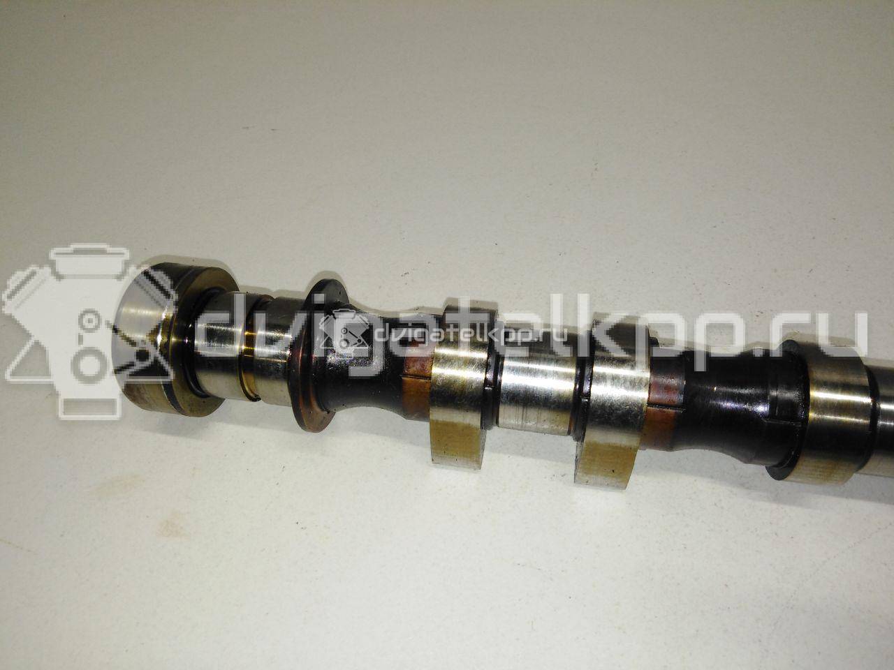 Фото Распредвал для двигателя F16D3 для Chevrolet Nubira / Lacetti 101-109 л.с 16V 1.6 л бензин 96182606 {forloop.counter}}