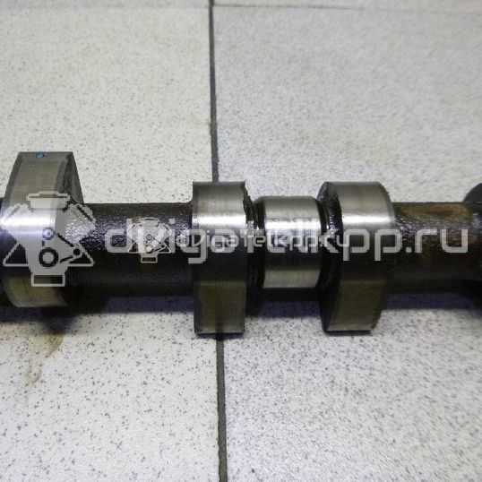 Фото Распредвал для двигателя F16D3 для Chevrolet Nubira / Lacetti 101-109 л.с 16V 1.6 л бензин 96182606