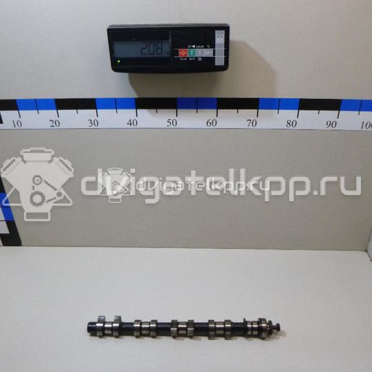 Фото Распредвал для двигателя F16D3 для Chevrolet Nubira / Lacetti 101-109 л.с 16V 1.6 л бензин 96182606
