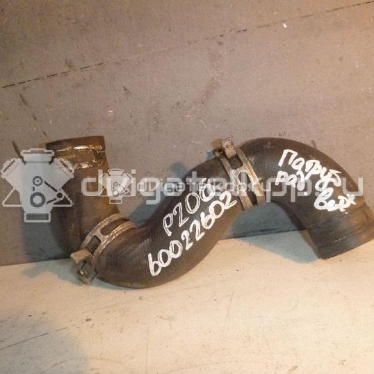 Фото Патрубок радиатора  1343Z2 для Peugeot 206