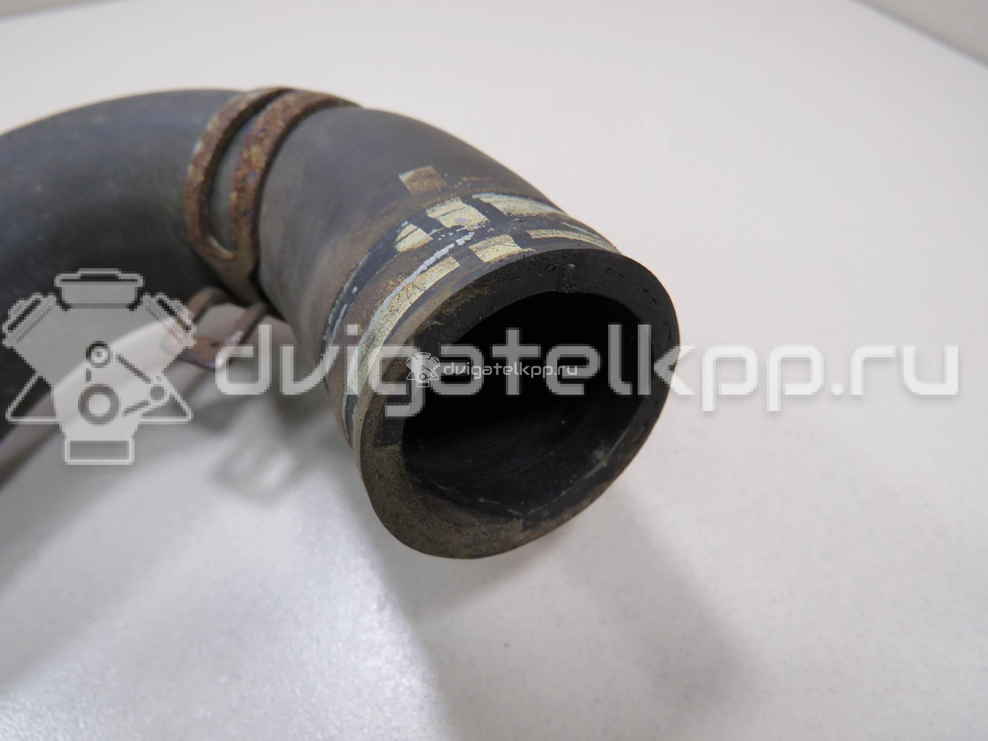 Фото Патрубок радиатора  1343Z2 для Peugeot 206 {forloop.counter}}