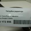 Фото Патрубок радиатора  1343Z2 для Peugeot 206 {forloop.counter}}