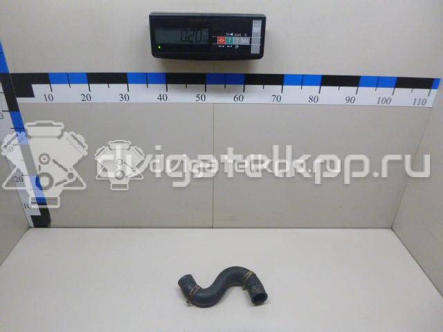 Фото Патрубок радиатора  1343Z2 для Peugeot 206 {forloop.counter}}