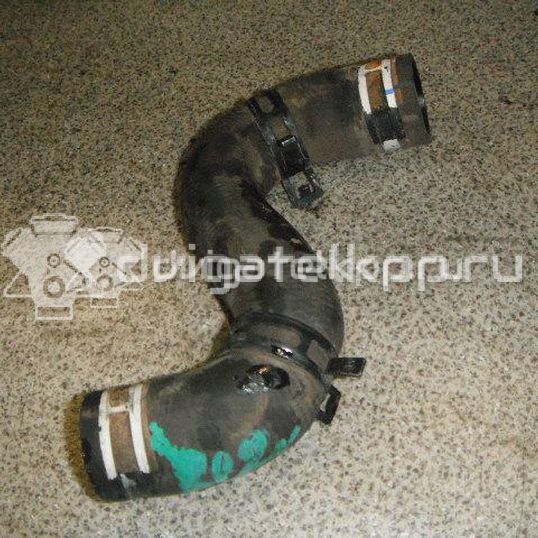 Фото Патрубок радиатора  1343z2 для Peugeot 206