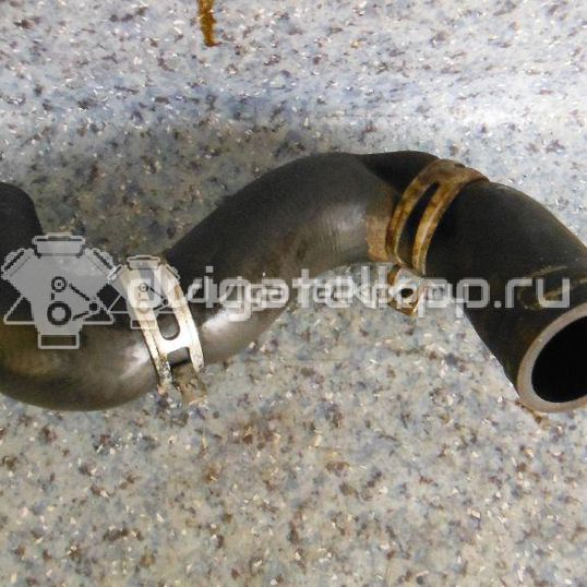 Фото Патрубок радиатора  1343Z2 для Peugeot 206
