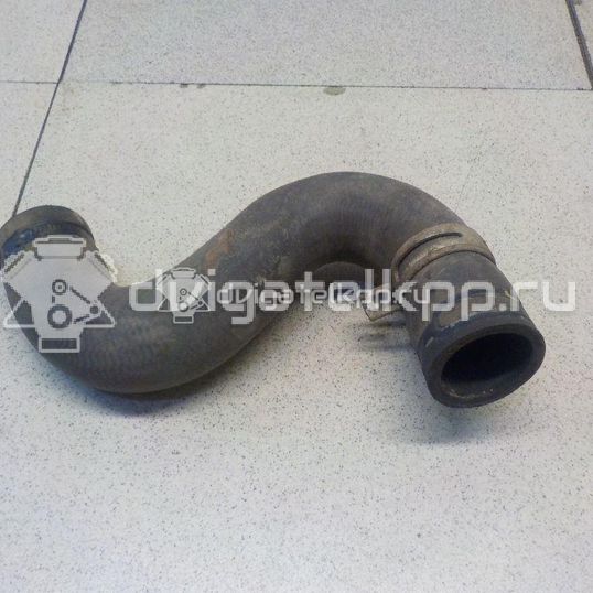 Фото Патрубок радиатора  1343Z2 для Peugeot 206
