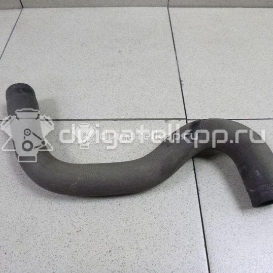 Фото Патрубок радиатора  1351EW для Peugeot 206