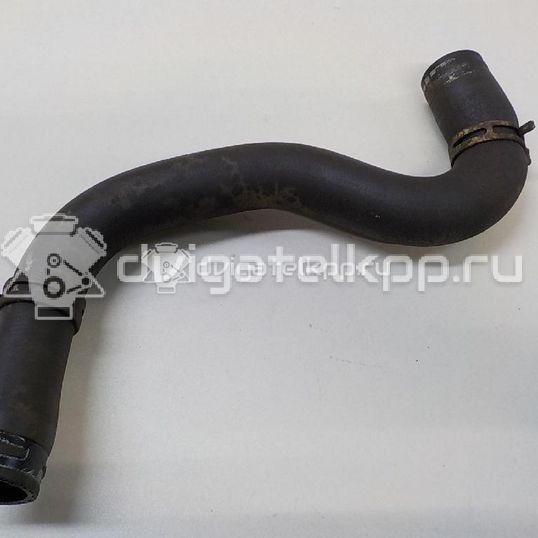 Фото Патрубок радиатора  1351EW для Peugeot 206
