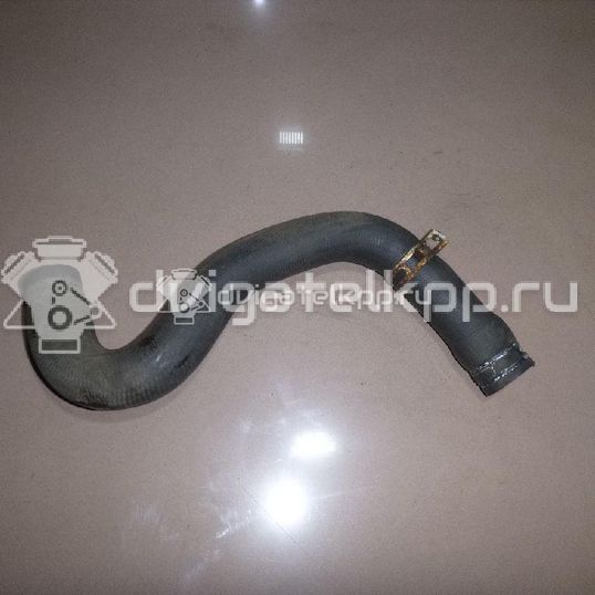 Фото Патрубок радиатора  1351EW для Peugeot 206