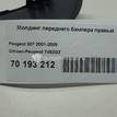 Фото Молдинг переднего бампера правый  7452GZ для Peugeot 307 {forloop.counter}}