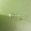 Фото Крыло переднее правое  7841N7 для Peugeot 307 {forloop.counter}}