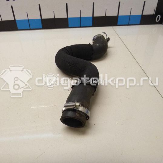 Фото Патрубок радиатора  1343KE для Peugeot 308 / 5008 / 3008 / Partner