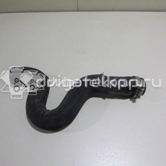 Фото Патрубок радиатора  1343KE для Peugeot 308 / 5008 / 3008 / Partner