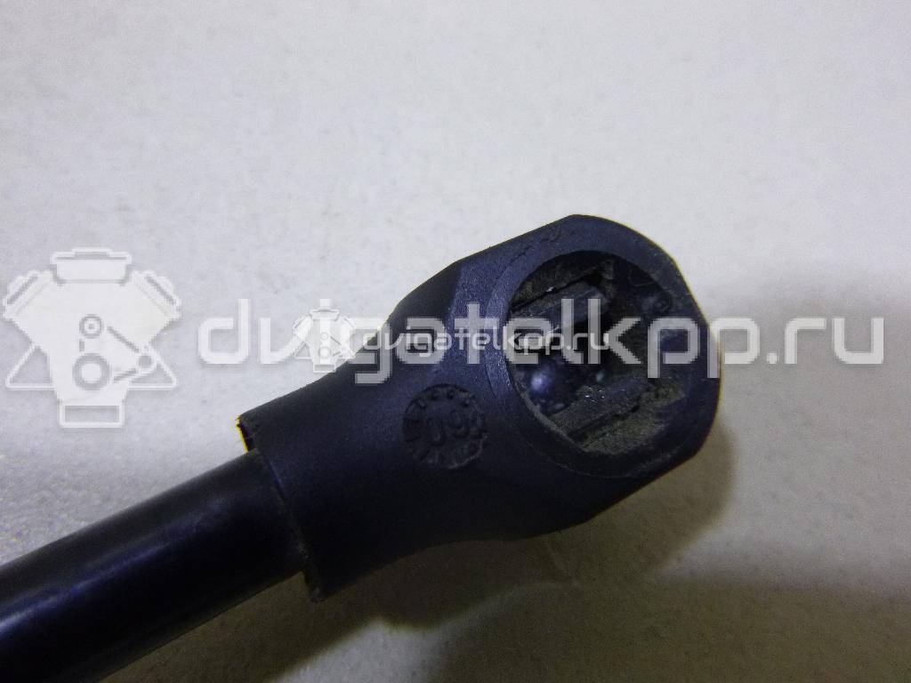 Фото Амортизатор двери багажника  8731R9 для Peugeot Partner {forloop.counter}}