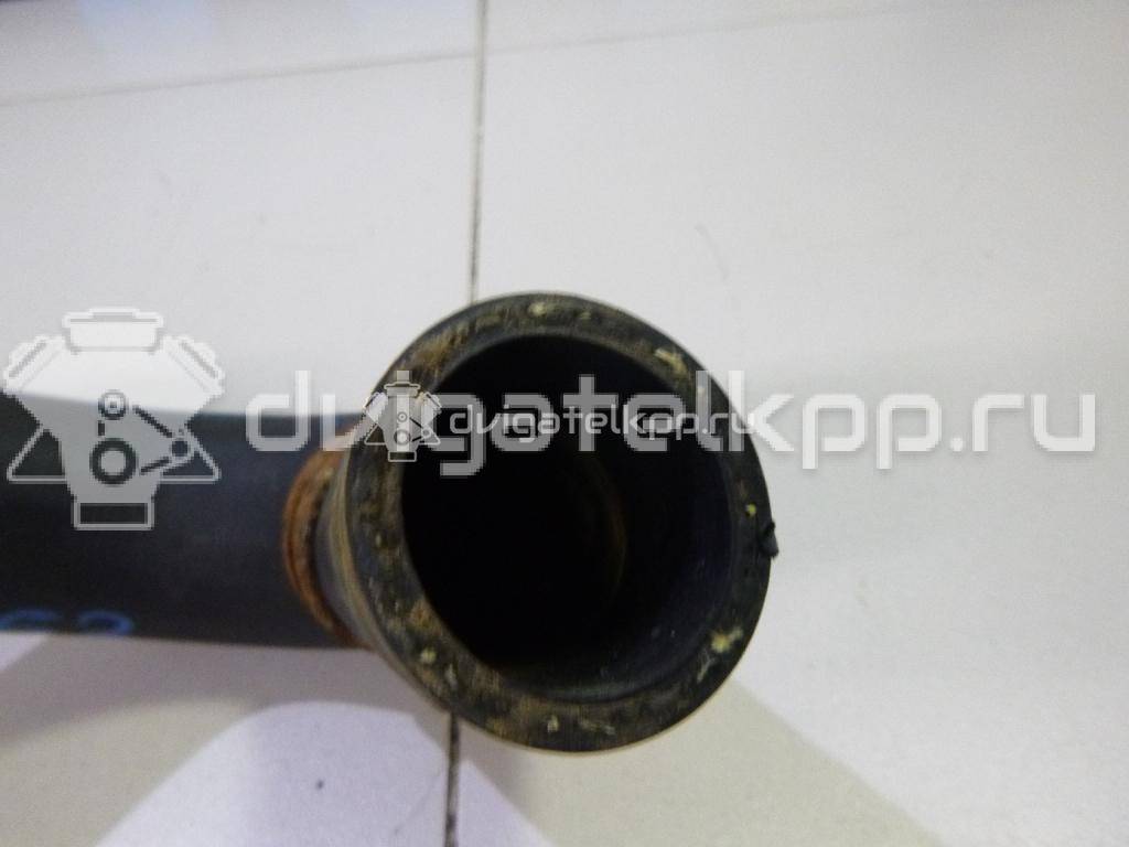 Фото Патрубок радиатора  1351hg для Peugeot Partner {forloop.counter}}