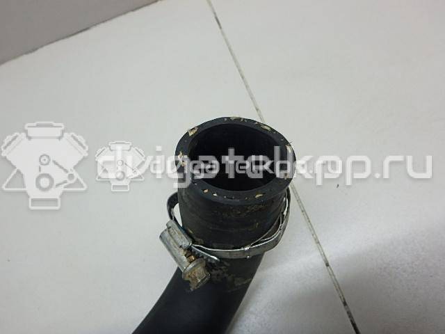 Фото Патрубок радиатора  1351HG для Peugeot Partner {forloop.counter}}