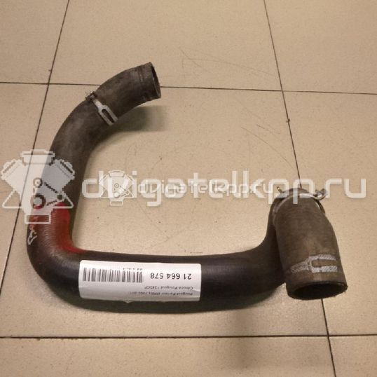 Фото Патрубок радиатора  1343CP для Peugeot Partner