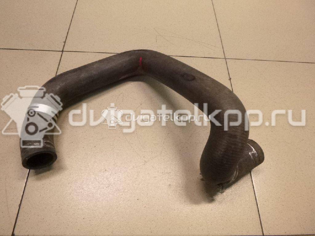 Фото Патрубок радиатора  1343CP для Peugeot Partner {forloop.counter}}