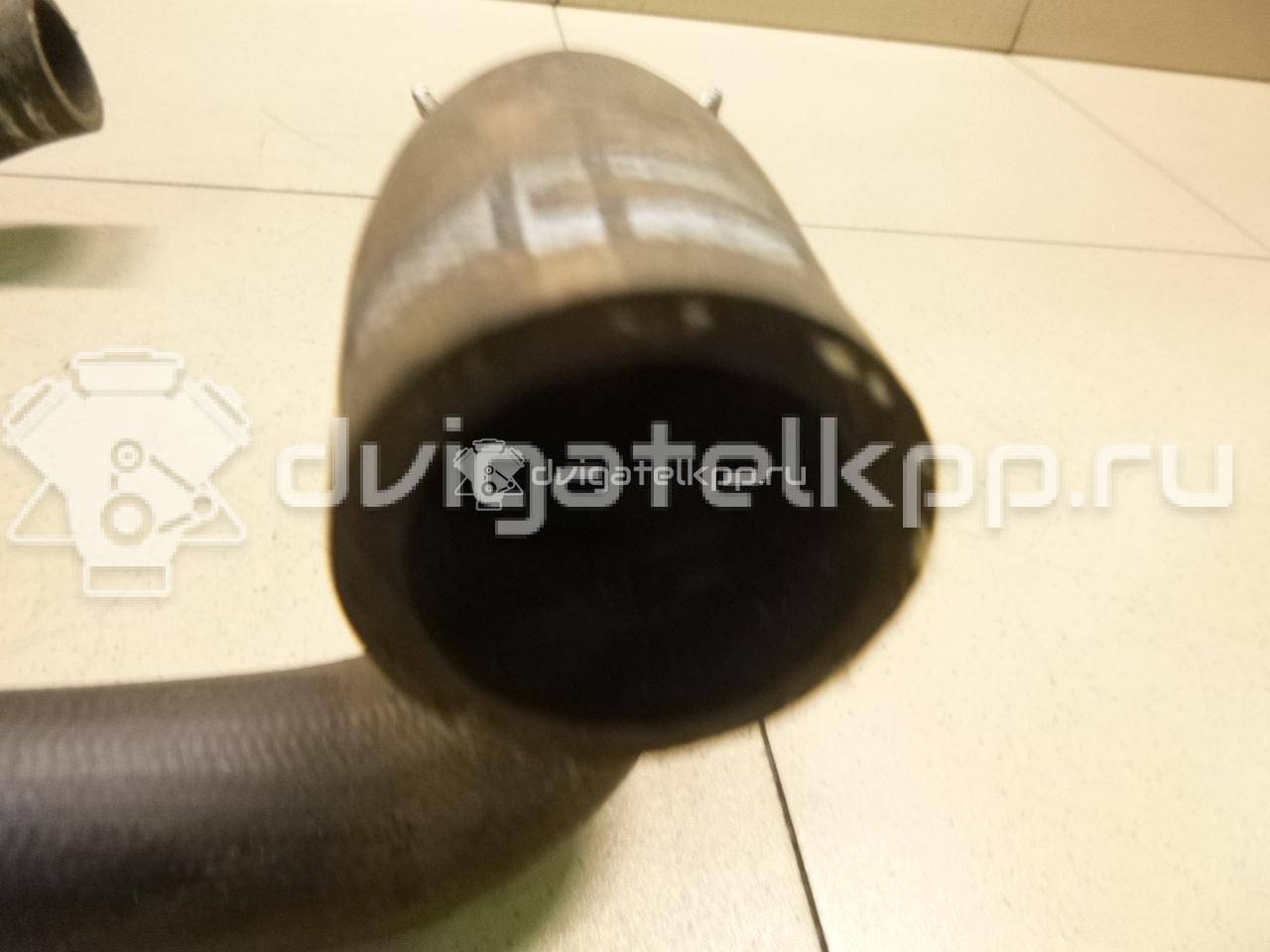 Фото Патрубок радиатора  1343CP для Peugeot Partner {forloop.counter}}