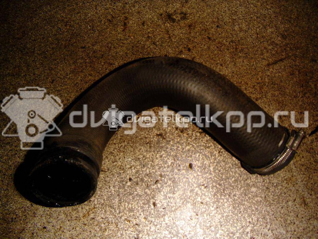 Фото Патрубок интеркулера для двигателя 9HZ (DV6TED4) для Citroen Berlingo / C3 / C2 Jm / C5 109 л.с 16V 1.6 л Дизельное топливо 0382EC {forloop.counter}}
