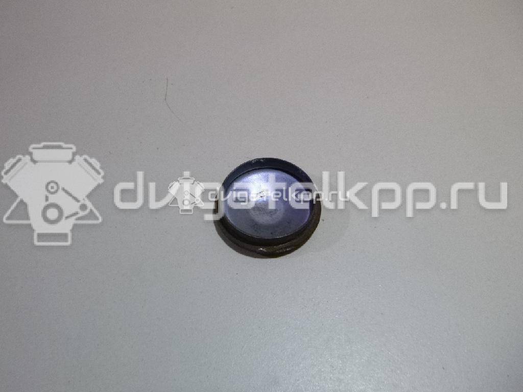 Фото Колпачок ступицы  8200649356 для Renault 11 / Megane / Clio / 19 / Laguna {forloop.counter}}