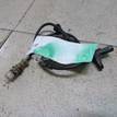 Фото Датчик ABS  8200186294 для Renault Thalia 2 / Modus Grand F Jp0 / Clio / Scénic / Kangoo 1 {forloop.counter}}