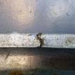 Фото Капот  7751469454 для Renault Clio / Thalia 2 {forloop.counter}}