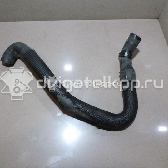 Фото Патрубок радиатора  8200126265 для Renault Clio / Thalia 2 / Kangoo 1