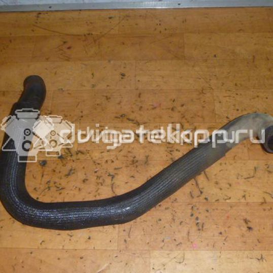 Фото Патрубок радиатора  8200126265 для Renault Clio / Thalia 2 / Kangoo 1