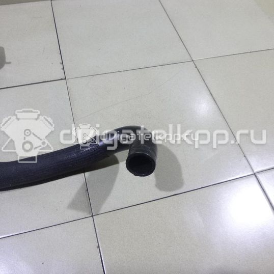 Фото Патрубок радиатора  8200126265 для Renault Clio / Thalia 2 / Kangoo 1