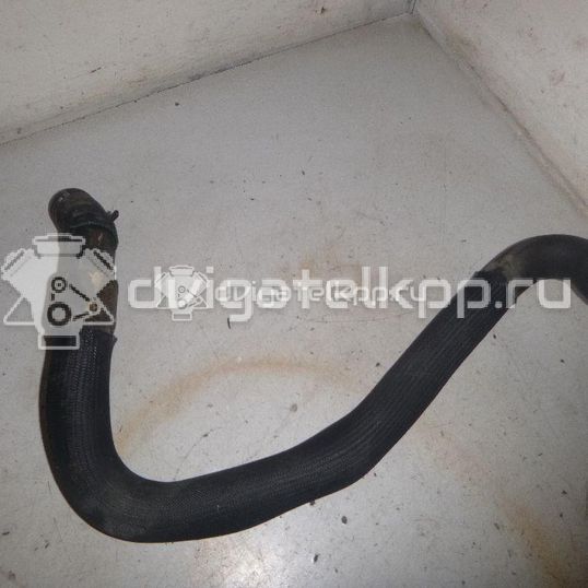 Фото Патрубок радиатора  8200126265 для Renault Clio / Thalia 2 / Kangoo 1