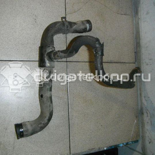 Фото Патрубок радиатора  8200026108 для Renault Clio / Thalia 2 / Kangoo 1