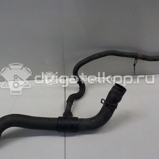 Фото Патрубок радиатора  8200026108 для Renault Clio / Thalia 2 / Kangoo 1