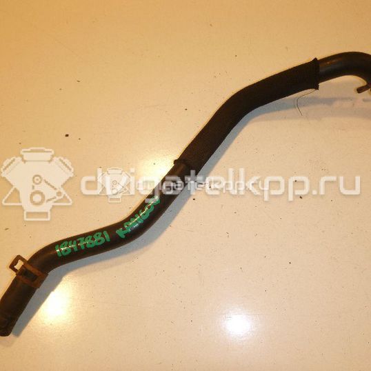 Фото Патрубок радиатора  8200253016 для Renault Clio / Thalia 2 / Kangoo 1